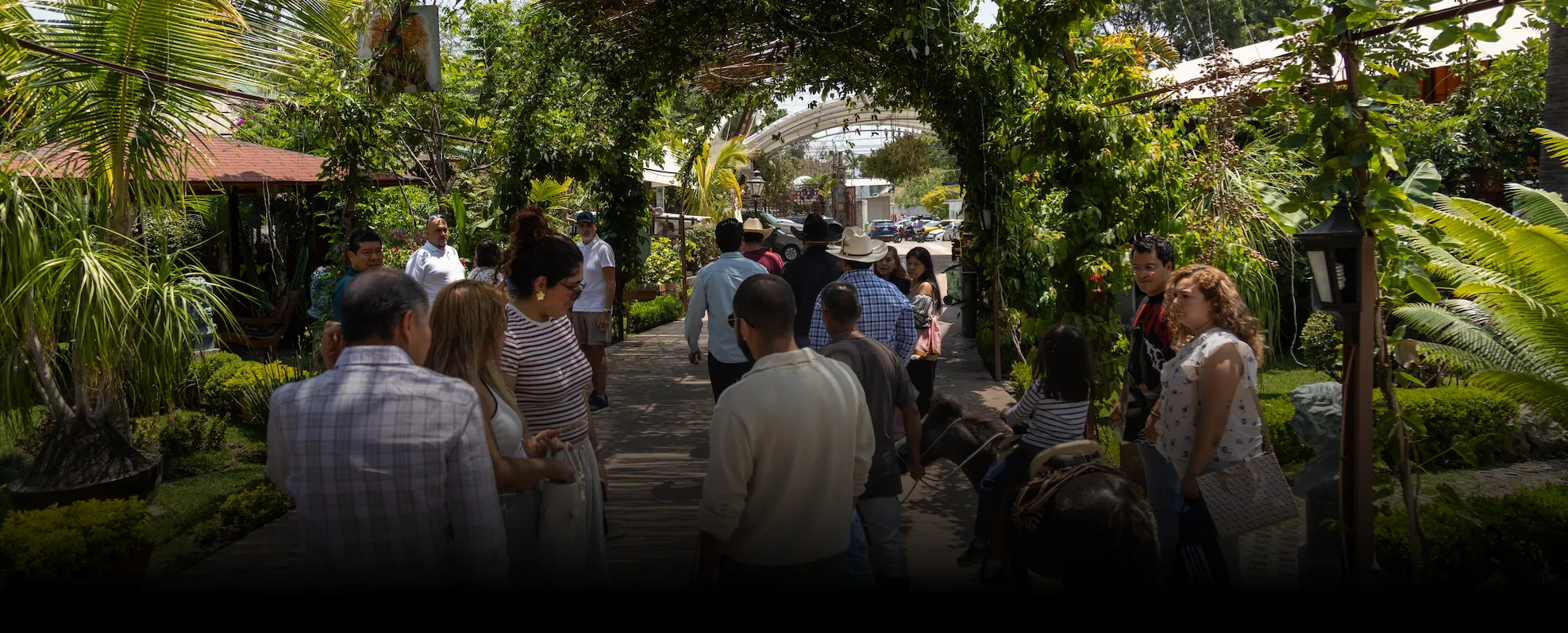 Disfruta el clima de Morelos y la experiencia de Los Cazadores