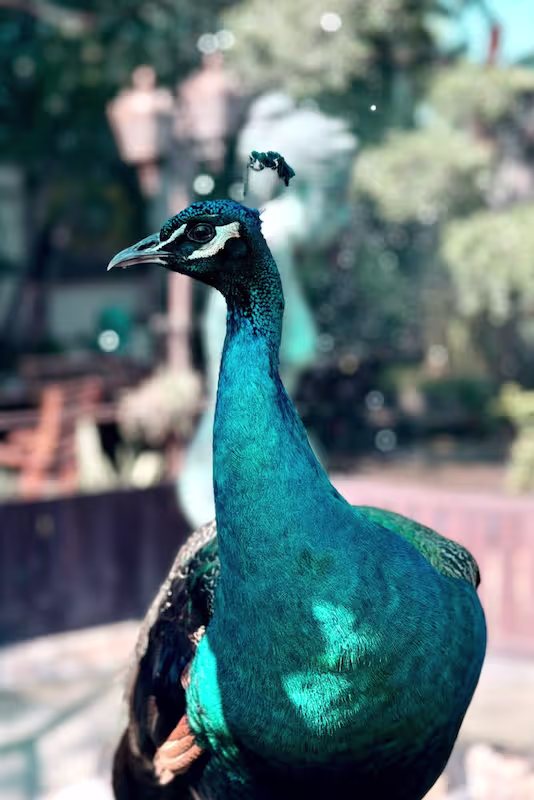 Naturaleza Los Cazadores